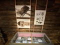 «Замки и затворы»: Новая выставка на острове Кижи
