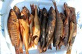 В День рыбака на острове Кижи –«Большой рыбный фестиваль»!