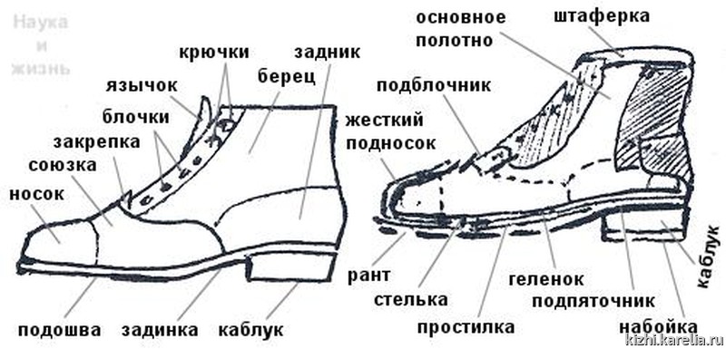 Что такое мысок обуви