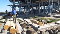 Photo 7. Installation of the first log on the foundation 