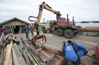 Fig.26. Loading of logs with the use of special band for transportation to the Restoration Complex