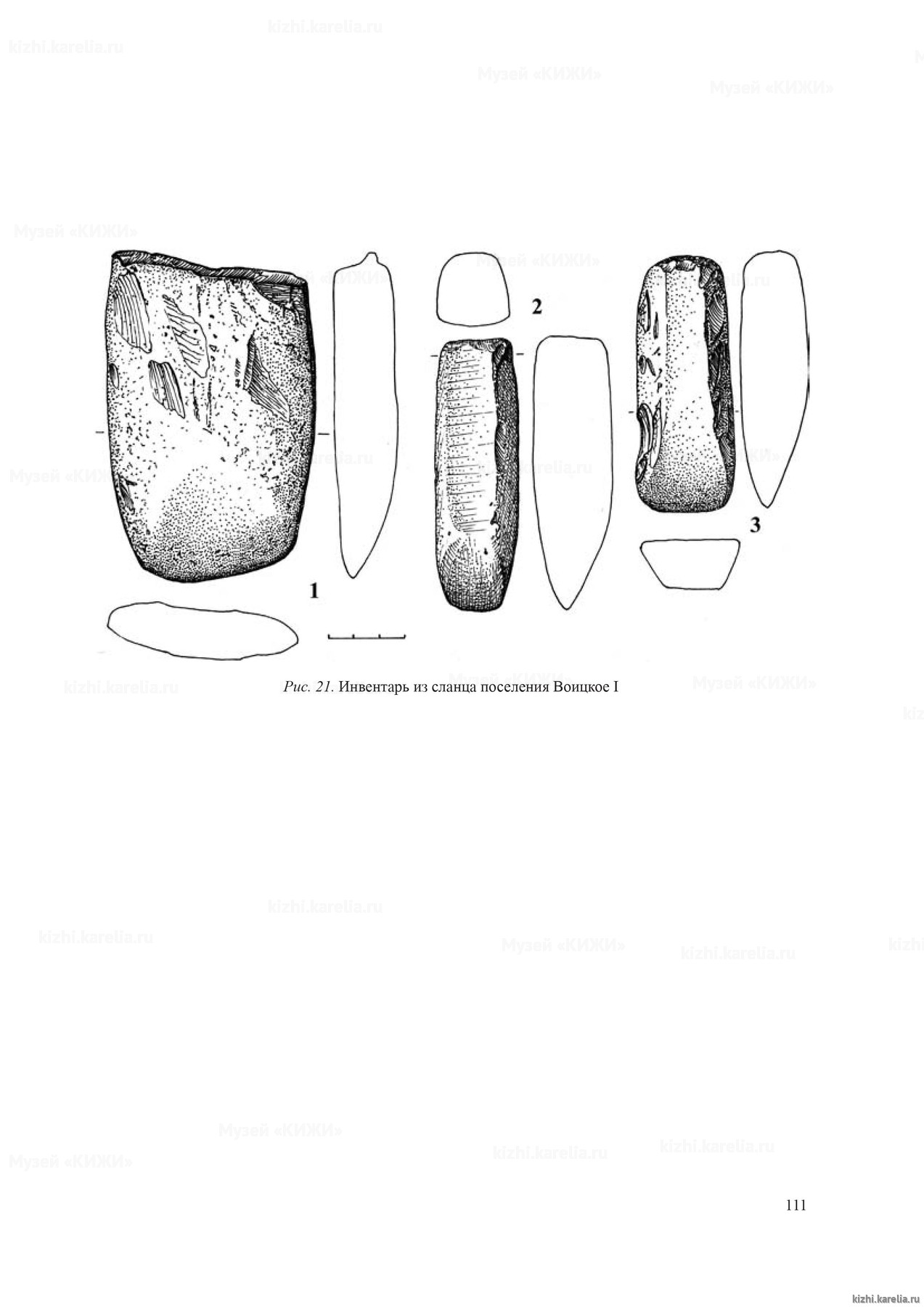 Рис. 21. Инвентарь из сланца поселения Воицкое I