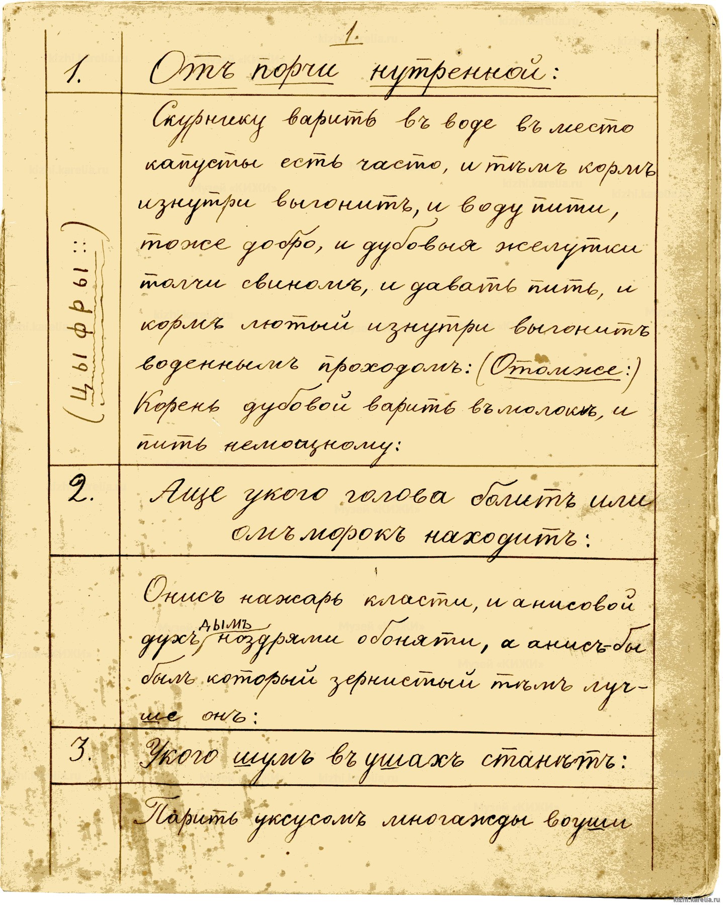 Рукопись. Лечебник. Травник