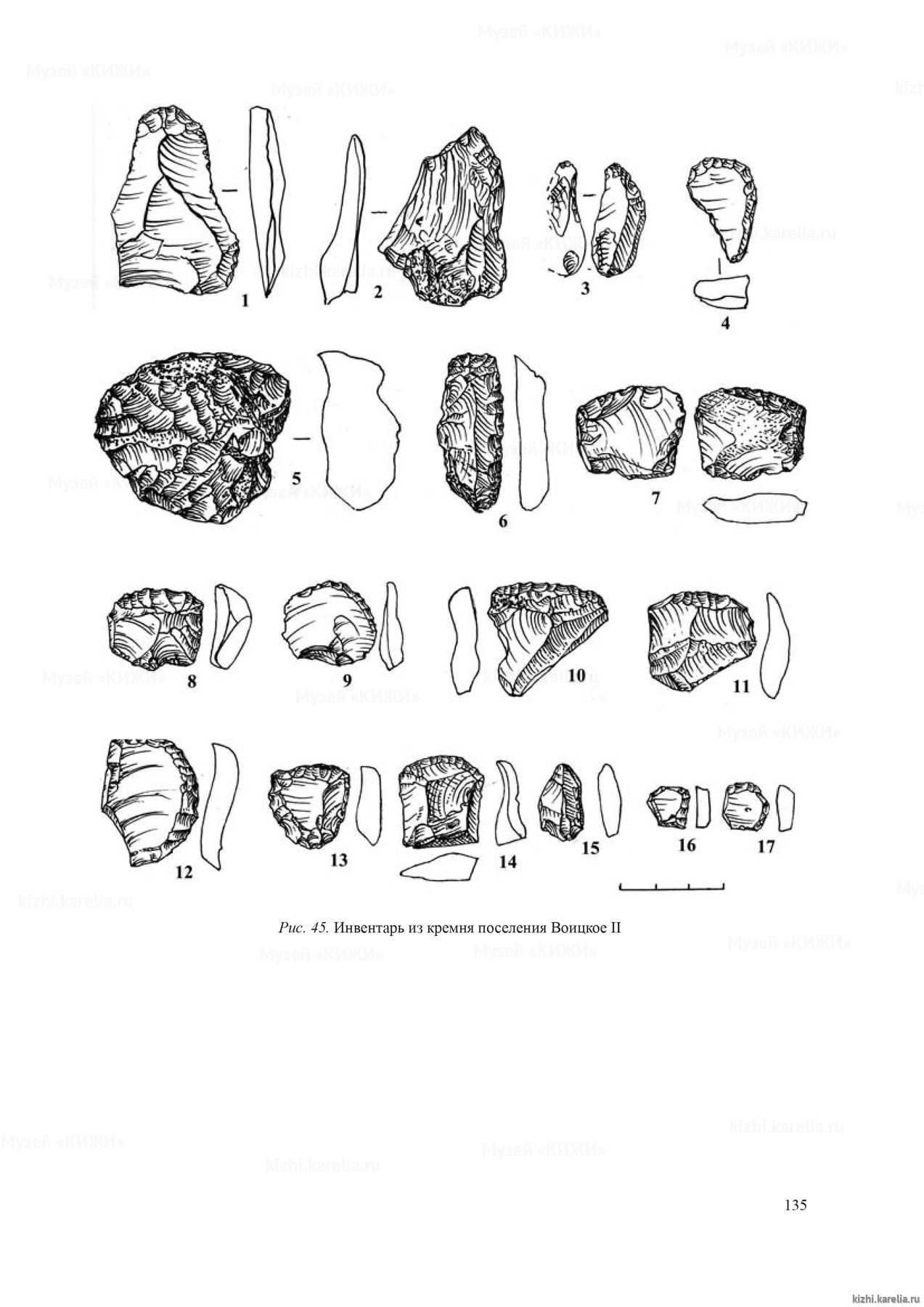 Рис. 45. Инвентарь из кремня поселения Воицкое II
