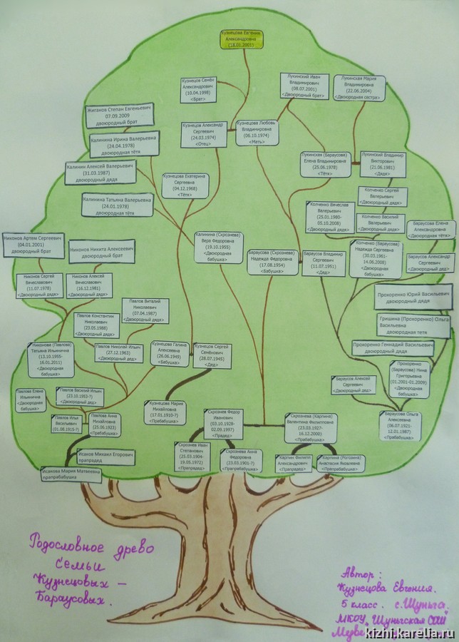 Родословное древо семьи Кузнецовых – Бараусовых