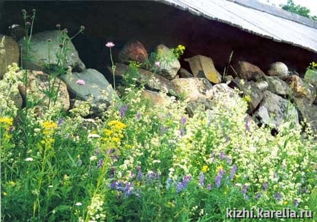 "И камни как основа" - луговые цветы и травы, Lower bank, flowers and herb. Поощрительный приз в номинации "Лета разноцветье"