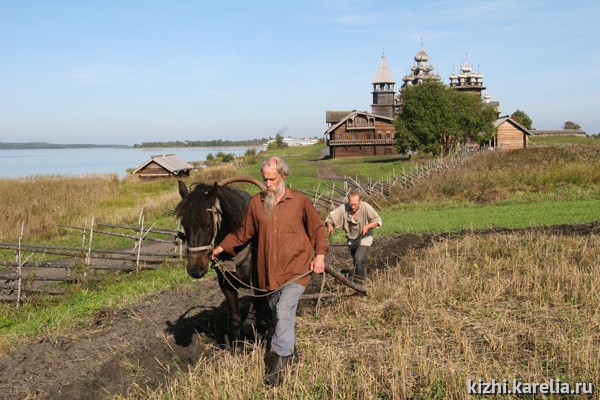 Вспашка поля