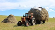 Деревня Ерснево (Заонежский полуостров)