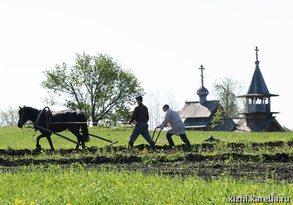 Вспашка поля