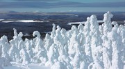 Ели в снегу, снежные фигуры