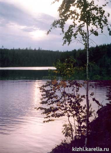 "Осенины"- береза у озера, birch. Поощрительный приз в номинации "Заонежские просторы"