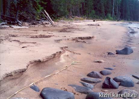 "Творенье волн - скульптура на час" - песчаный берег, пляж, Sea-sand. Поощрительный приз в номинации "Заонежские просторы"