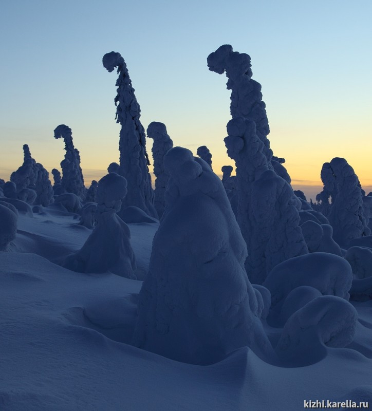 Ели в снегу, снежные фигуры