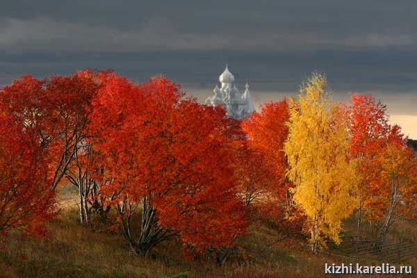 Золотая осень на острове Кижи