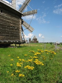 Фото участника ЛУ Татьяны Лобынцевой, г. Воронеж