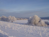 Фото А. Ковальчука