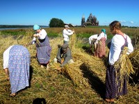 Студенты Томского ГПУ на жатве