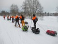 Белые волки добрались до Кижей!