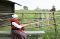 Живое украшение острова и гордость музея