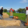 Полина Михалева  «Я могу попробовать» (г.Петрозаводск)