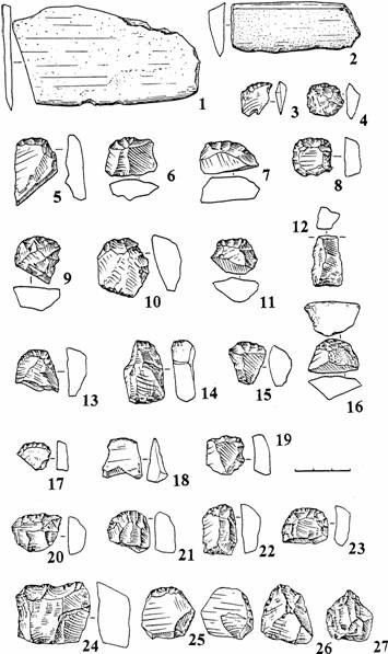 Рис.11. Поселение Вожмариха 11. Каменный инвентарь