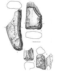 Рис.9. Поселение Гарнизон Бесовец II: 1 – заготовка киркообразного орудия; 2 – заготовка рубящего орудия; 3, 4 – обломки заготовок орудий (все – сланец)