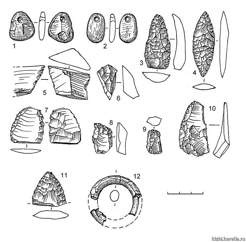 Рис.176. Инвентарь поселения Букольников 1: 1–2 – сланец, 3–4, 9–11 – кремень, 5–8 – лидит, 12 – янтарь