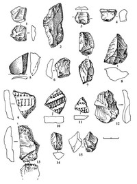 Рис. 10. Находки из поселений Ванчозеро 13 (1–3), 14 (4–8), 15 (9–12), 16 (13–15)