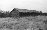 Рис. 5. Рига с гумном в д. Колгостров. 1971 г. (Фотофонд музея-заповедника «Кижи». НВФ-186. Автор Беляев А.Т.)