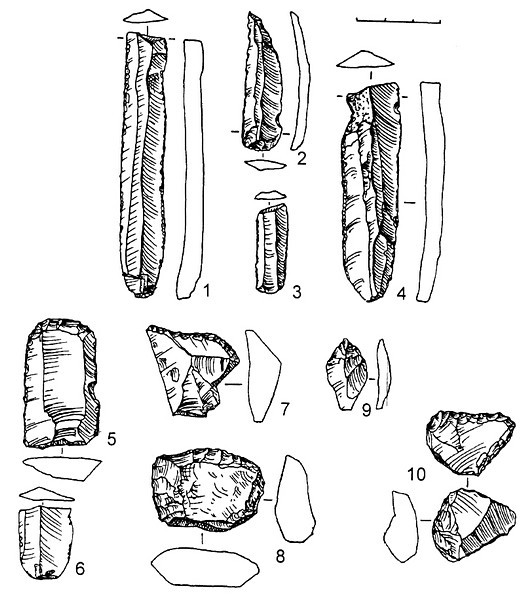 Рис.1. Кремневый инвентарь поселения Воицкое IX