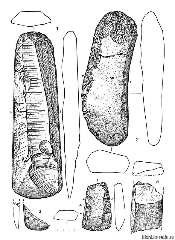 Рис.143. Инвентарь поселения Вожмариха 24: 1–5 – сланец