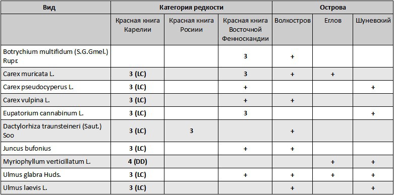 Таблица №3. Редкие и охраняемые виды сосудистых растений исследуемых островов Кижского архипелага