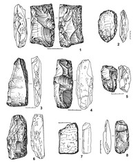 Рис.2. Макроорудия из Оленеостровской стоянки, сланец (1–7 – заготовки, 8 – тесло). Место хранения – Институт языка, литературы и истории КарНЦ РАН 1, 4, 6–7 – раскоп 1956 г.; 2–3 – раскоп 1957 г.; 5 – раскоп 1955 г.; 8 – раскоп 1972 г.