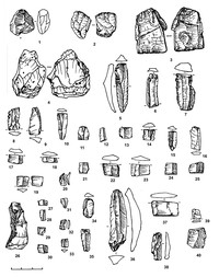 Рис.7. Каменный инвентарь Оленеостровской стоянки (раскоп 2007 г.). Место хранения – Государственный историко-архитектурный и этнографический музей-заповедник «Кижи» 1–3 – биполярные нуклеусы; 4 – многоплощадочный нуклеус-отбойник; 5–25, 27–40 – пластины; 26 – реберчатый скол. 1–3, 39 – кварц; 5, 19