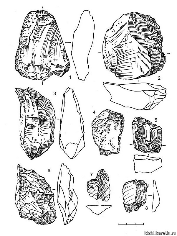 Рис.132. Инвентарь поселения Вожмариха 19: 1–2 – сланец, 3 – кварцит, 4–8 – кремень