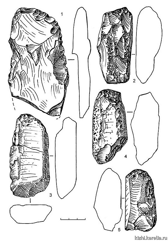 Рис.202. Инвентарь поселения Южный Олений остров 1: 1–5 – сланец