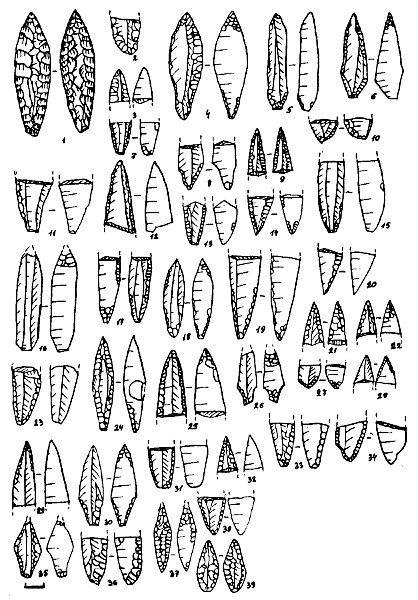 Рис.3. Наконечники стрел. 1-3 — Оровнаволок XIV; 4-5 — Оровнаволок XV; 16-17 — Кладовец Va; 18-22 — Чёрная Губа XI; 23-24 —  Чёрная Губа VI; 25-26 — Муромское VII; 27-29 — Повенчанка V; 30 — Илекса III; 31-34 — Оленеостровская стоянка; 35 — Шёлтозеро III; 36 — Оровнаволок XII; 37-39 — Оровнаволок IX, р. II и 1; 38 — Суна XII; 24 — лидит, остальные кремень.