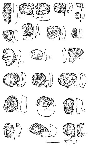 Рис.6. Кремневый инвентарь поселения Воицкое II