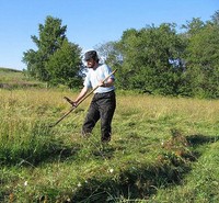 Сергей Знаменский борется за поддержание биоразнообразия лугов о.Кижи