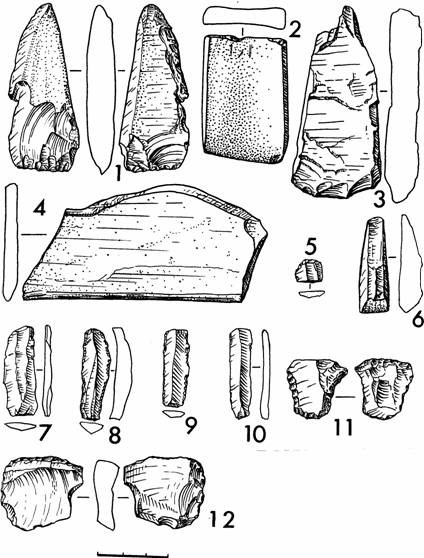 Рис.6. Поселение Вожмариха 3. Каменные орудия