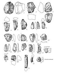 Рис.7. Поселение Леликово 1. Предмтеы из кварца (1-8, 13), кремня (9-12, 14-20) и сланца (21-23).