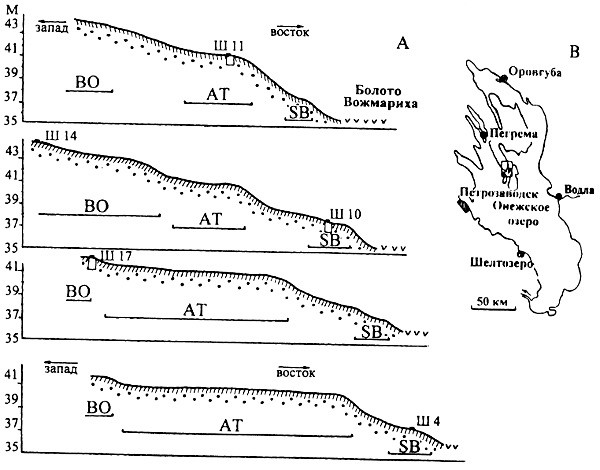 Рис.1. Гипсометрические профили голоценовых террас района мезолит-неолитических стоянок Вожмариха на юге Заонежского полуострова (А). Участки детального изучения голоценовых террас Онежского озера в районах нахождения мезолит-неолитических стоянок древнего человека. Прямоугольником отмечен район Вожмарихи (В).