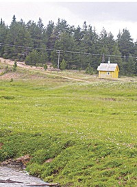 Часовня в районе дер.Березник, Мезенский район, XX в.  Фото А.Пермиловской, 2007 г.