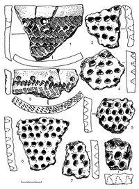 Рис.14. Образцы керамики из поселения Радколье 2 (1, 3 – сперрингс; 2, 4–8 –ямочно-гребенчатая)