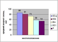 Средний возраст сосны. Зависимость среднего возраста сосновых древостоев от типов местоположений