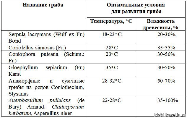 Условия, оптимальные для развития дереворазрушающих грибов