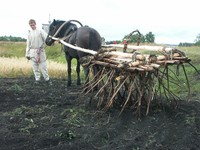 Боронование. 2005 г.