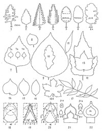 Рис.21. Формы крон и листьев деревьев: Форма крон: 1 – сосна, 2 – молодая сосна, 3, 4 – ель, 5 – береза, 6 – тополь, 6а – дуб. Форма листьев: 7, 7 А–В – береза, 8 – осина, 9 – тополь, 10 – дуб, 11 – ива, 12 – лесной клен, 13 – клен остролистный, 13 А – клен полевой, 14 – липа, 15 – вяз обыкновенный,