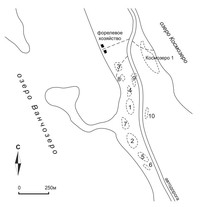 Рис. 2. Расположение поселений Ванчозеро 1–10 (1–10) и Космозеро 1