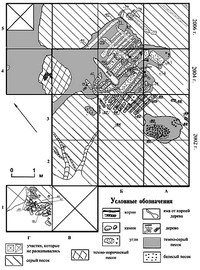 Рис.3. План раскопа на поселении Бесов Нос VIII